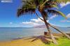 1676 Halama Street
 Kihei HI 96753