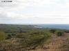 32 Noho Lio Rd, Maunaloa HI 96770
